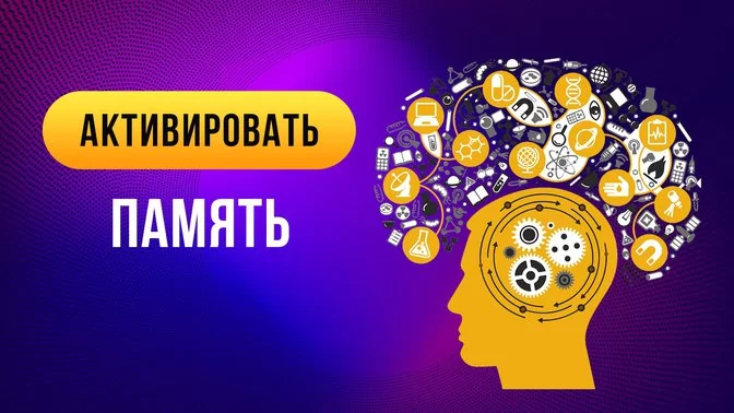 Зачем нужно тренировать память и как это делать? 9 лайфхаков