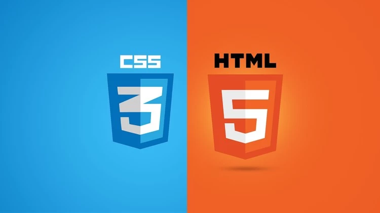 7 лучших онлайн-курсов HTML и CSS с нуля в 2024 году