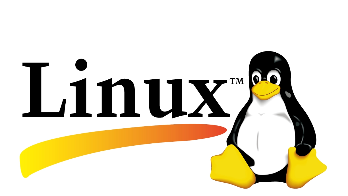 Как выбрать без ошибки хороший курс программирования на Linux