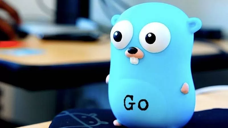 5 лучших онлайн-курсов по языку Go (Golang) с нуля в 2024 году