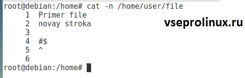 Ключ -n