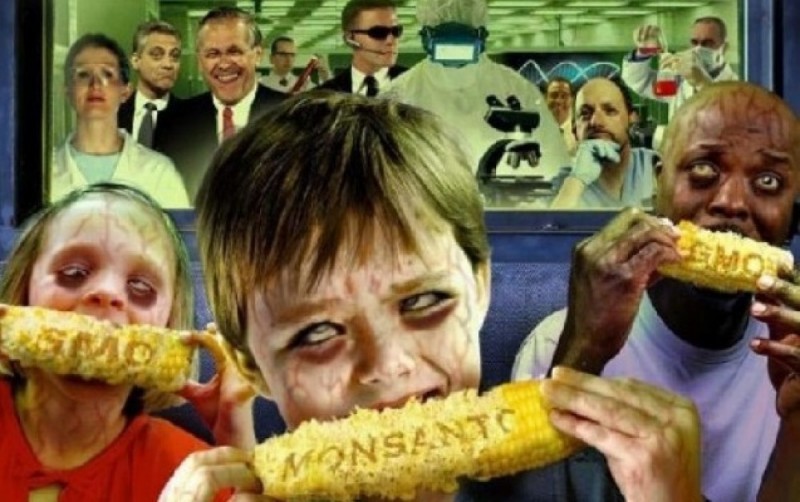 GMO produkty - Земля плоская? ГМО-продукты смертельно опасны? Конечно!