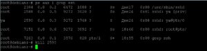 Завершение ssh пользователя